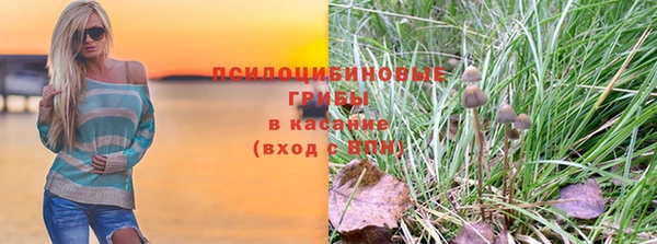 спиды Абинск