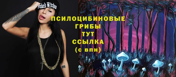 ГАЛЛЮЦИНОГЕННЫЕ ГРИБЫ Абдулино