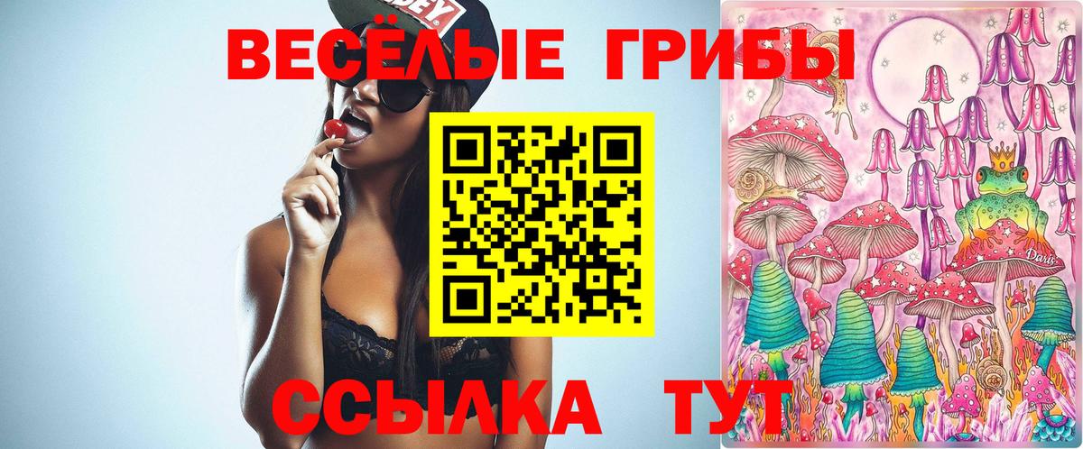 Псилоцибиновые грибы GOLDEN TEACHER  Вход с VPN  Псилоцибиновые грибы MAGIC MUSHROOMS  Ханты-Мансийск 