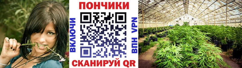 Канабис семена  Ханты-Мансийск 